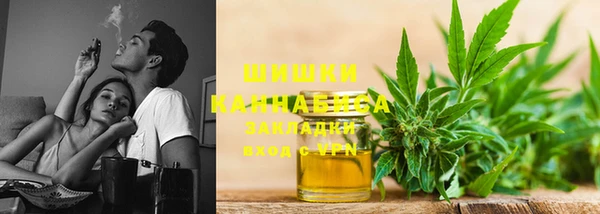 шишки Нягань