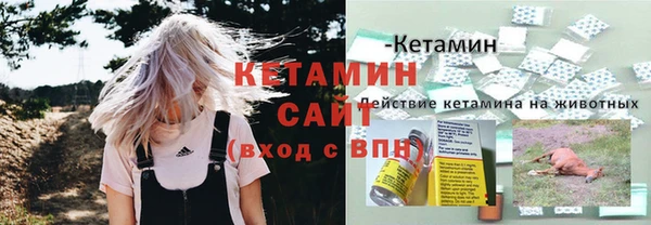 шишки Нягань