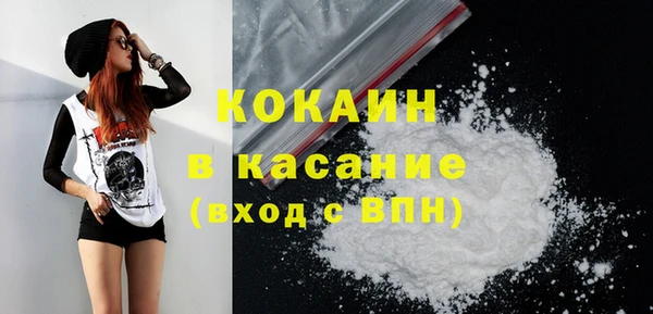 шишки Нягань